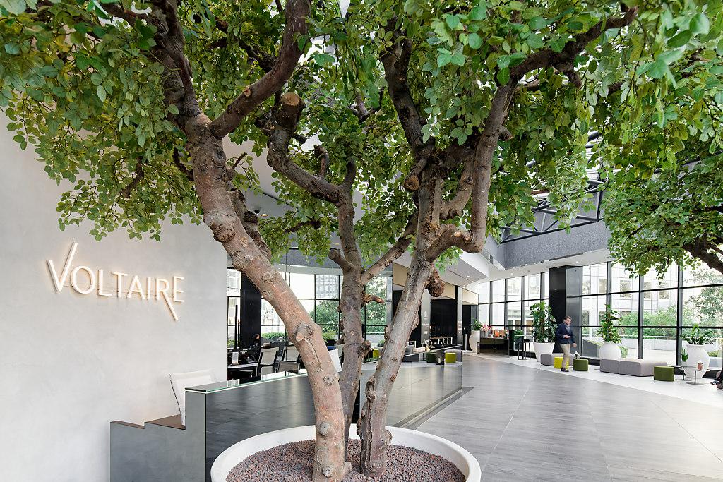 Bureau La Défense 11981m² Location bureau Puteaux Hauts-de-Seine OLBUR2100516 3